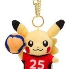 ポケモンセンター 廃番品 ポケモンスポーツ バレーボール ピカチ...