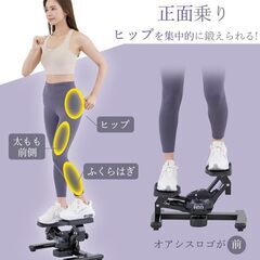 ツイスト エアロ ステッパー SP-200の画像