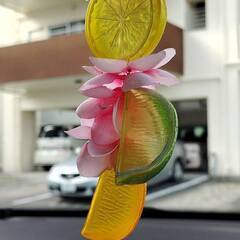 【手作り】柑橘フルーツスライスの吊り下げアクセサリー🍋🍊