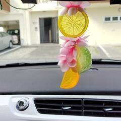 【手作り】柑橘フルーツスライスの吊り下げアクセサリー🍋🍊の画像