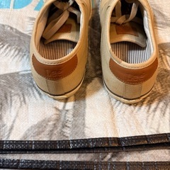 Leeシューズの画像