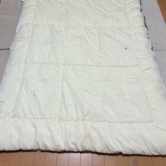 【差し上げます】ジュニア掛け布団　の画像