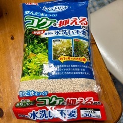 水槽の砂利