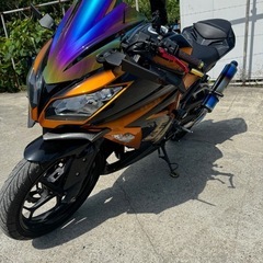 Kawasaki Ninja250 ex250l 2017年式　...