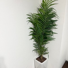 定価17000円　フェイクグリーン　140cm 観葉植物