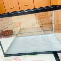 フレーム45cm水槽
