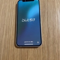 iPhone 12mini64GB