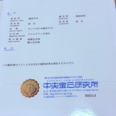 中央宝石研究所付き 天然ルビー ネックレスの画像
