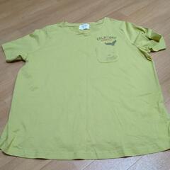 3Lサイズ Tシャツ