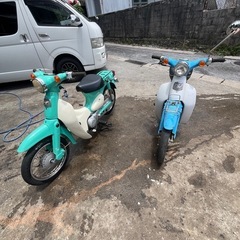 リトルカブ