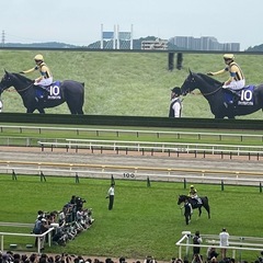 競馬友達作りませんか？競馬好きと繋がりたい😃 − 東京都