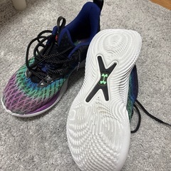 カリーフロー10 バッシュの画像