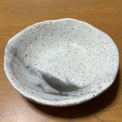 信楽焼 陶器 和食器 大皿