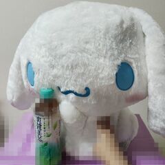 破格値　断捨離値下げ　ぬいぐるみ　シナモロール　BIGの画像