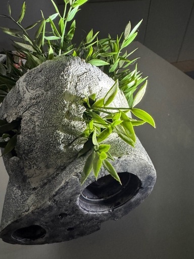 ジブリ ガーデニング　プランター ラピュタ ロボット兵の思い　アクアリウム　水槽