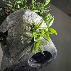 ジブリ ガーデニング　プランター ラピュタ ロボット兵の思い　ア...