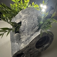 ジブリ ガーデニング　プランター ラピュタ ロボット兵の思い　アクアリウム　水槽の画像