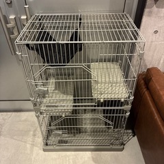 キャットゲージ