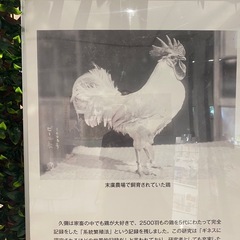 自由に楽しくピアノ弾きたい人いませんか？ - イベント