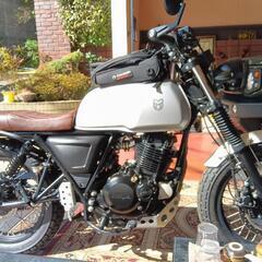 Mutt Akita２５０ccの画像