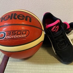 6/15（日）18:00〜 田原市でバスケしたい方　募集！ - 田原市
