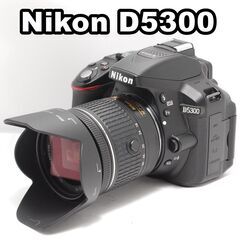 Wi-Fi内蔵の高機能 Nikon D5300 長く使える美品 ...