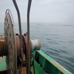 漁師の仕事ですの画像