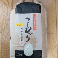 お米　千葉県コシヒカリ一等米　6年産　精米時期2025年4月下旬