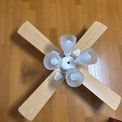シーリングファンライト