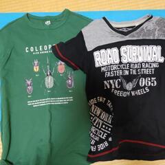 サイズ150　8枚セットの画像