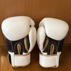 boxingグローブ 12oz　試し打ち程度の画像