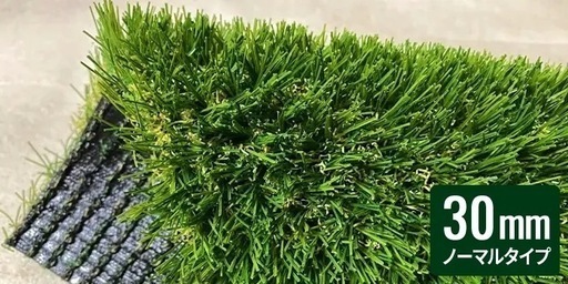 人工芝生