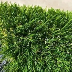 人工芝生