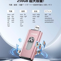USB usbメモリー USBメモリ スマホ バックアップ 256GB の画像