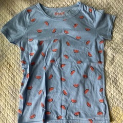 ティーシャツ　レディース