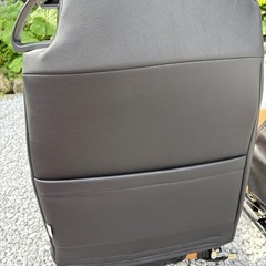 コペンハーゲン純正シートとDottyシートカバー付き  の画像
