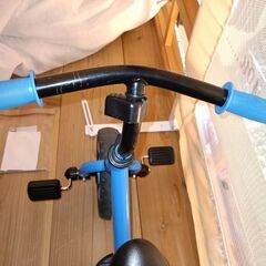 ストライダーの画像