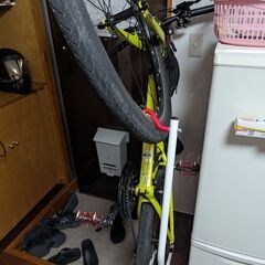 GIANT GRAVIER (グラビエ) ライトグリーンの画像