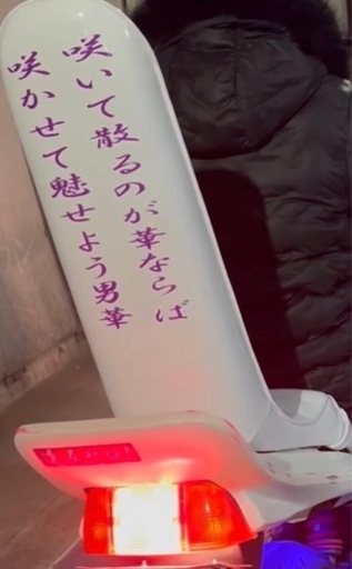 ホーネット250 三段シート 白エナメル 60cm (まつむー) 健軍町の