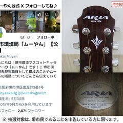 【堺市民限定】(2506-29) ギター＆ケースの画像