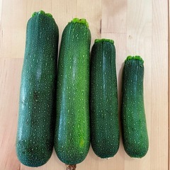 ズッキーニ　２本100円