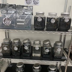 宇部新鮮館厚南店　メダカ　めだか
