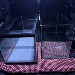 水槽