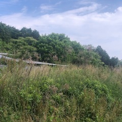 草刈りでお困りの方＾