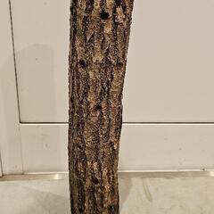しいたけ原木