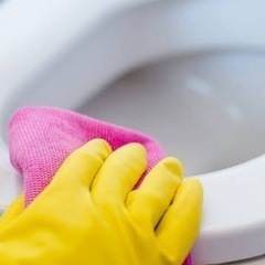 ◾︎人気枠 7月~ ビル内清掃(トイレ共用部)の画像