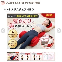 ネトレスリムチェアNEO 美品