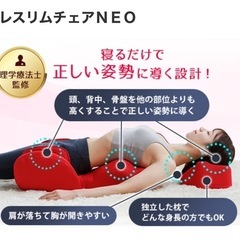 ネトレスリムチェアNEO 美品の画像