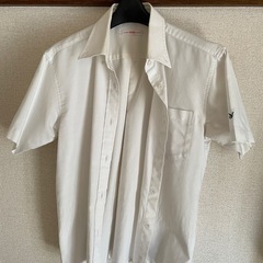 横浜創英　ワイシャツ　半袖の画像