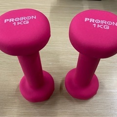 【7F09⑤】PROIRON ダンベルセットの画像